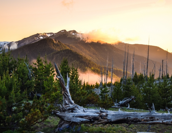 Olympic National Park, Washington